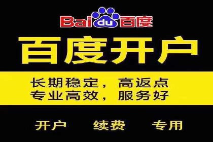 SEM公司案例分析：广告投放策略的优化